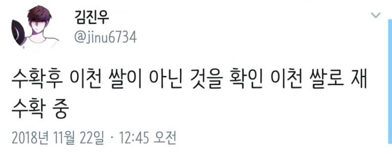 파일:이천쌀좌.jpg