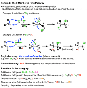 3-mem ring.gif