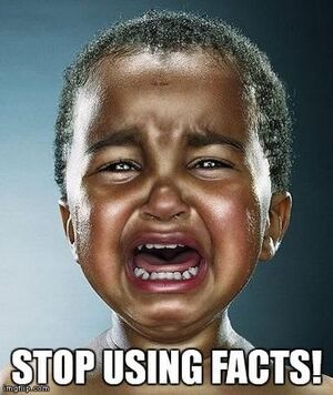 Stop Using Fact.jpeg