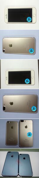 파일:160812ip7maximum.jpg