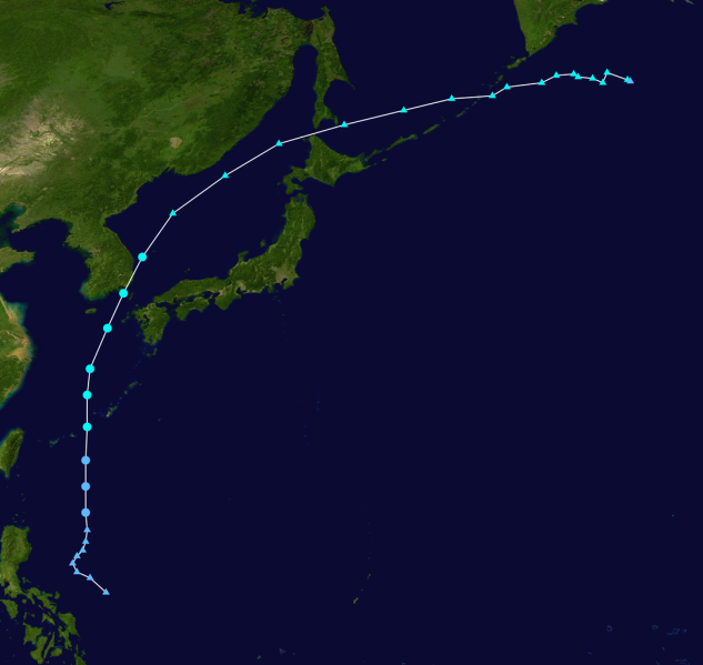 파일:Jangmi 2020 track.png