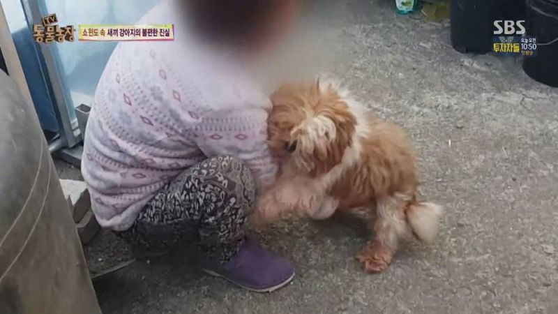 파일:개공장3.jpg