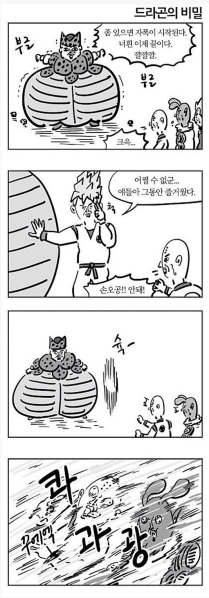 파일:드라곤의 비밀.png