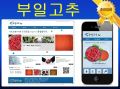 2026년 1월 5일 (월) 19:21 판의 섬네일