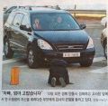 2026년 1월 5일 (월) 19:11 판의 섬네일