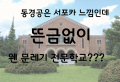 2026년 1월 5일 (월) 19:22 판의 섬네일