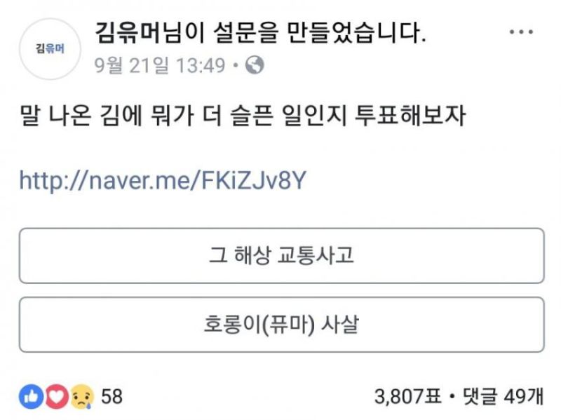 파일:윾머2.jpg