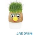 2026년 1월 5일 (월) 19:20 판의 섬네일