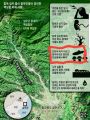 2026년 1월 5일 (월) 19:16 판의 섬네일