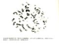 2026년 1월 5일 (월) 19:11 판의 섬네일