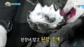 2026년 1월 5일 (월) 19:12 판의 섬네일