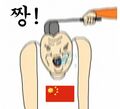 2026년 1월 5일 (월) 19:09 판의 섬네일