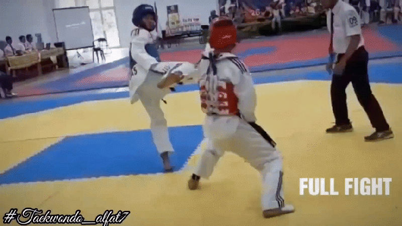 파일:태권펀치.gif