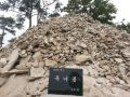 2026년 1월 5일 (월) 19:15 판의 섬네일