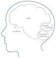 2026년 1월 5일 (월) 19:13 판의 섬네일