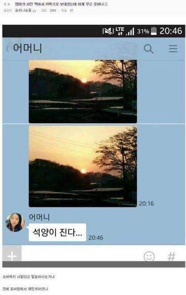 파일:석양충.jpg