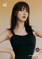 2026년 1월 5일 (월) 19:16 판의 섬네일