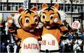 2026년 1월 5일 (월) 19:24 판의 섬네일