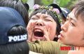 2026년 1월 5일 (월) 19:18 판의 섬네일