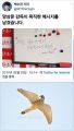 2026년 1월 5일 (월) 19:09 판의 섬네일