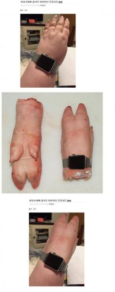 파일:여시손.jpg