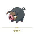 2026년 1월 5일 (월) 19:20 판의 섬네일