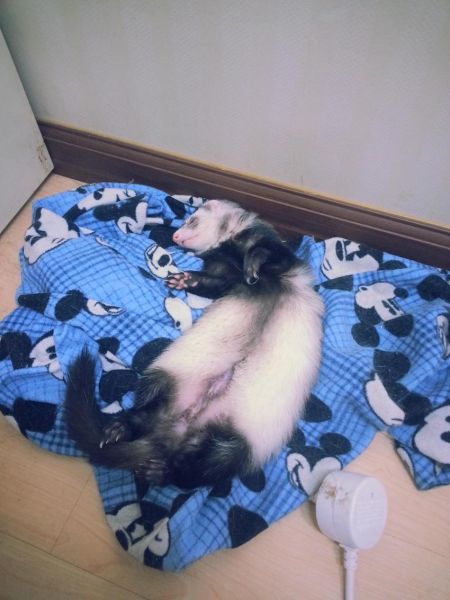 파일:1512294936.jpg