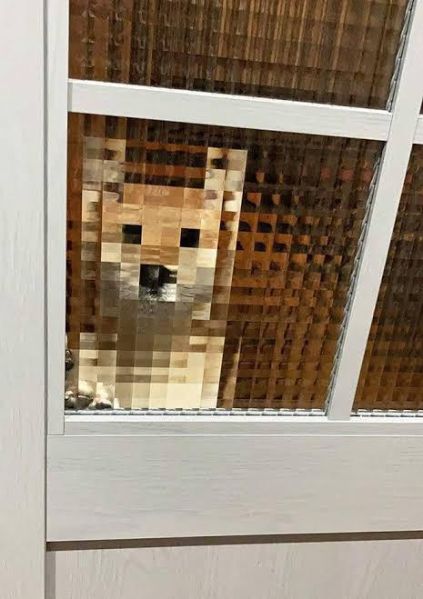 파일:네모네모멈뭄미3.jpg