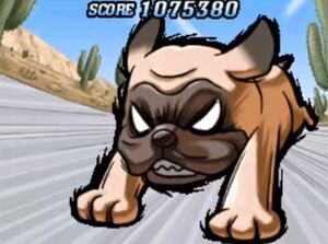 Sam.jpg
