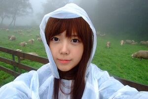 도마도.jpg