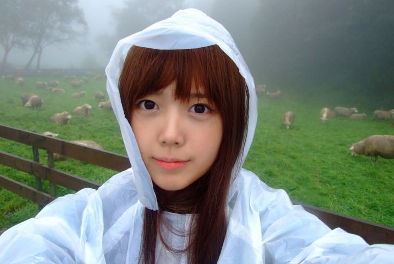 파일:도마도.jpg
