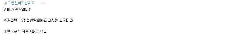 파일:애국보수의 자격.png