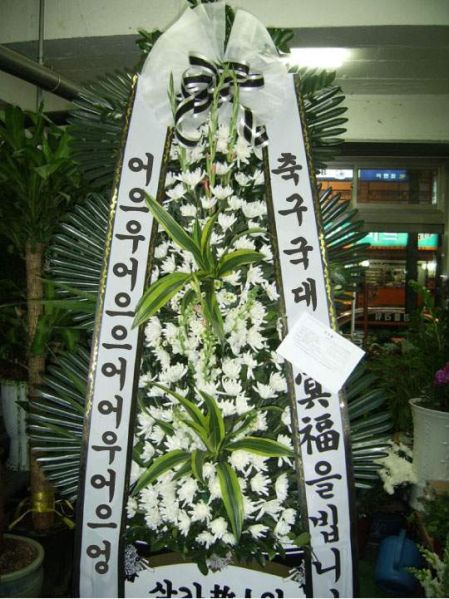 파일:고인어어으엉.jpg