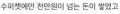 2026년 1월 5일 (월) 19:13 판의 섬네일