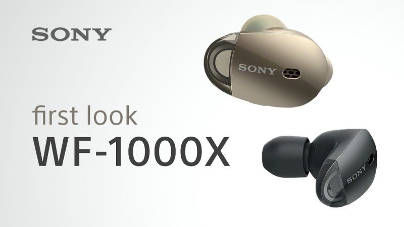 파일:Wf1000.jpg