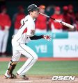 2026년 1월 5일 (월) 19:10 판의 섬네일
