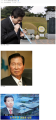 2026년 1월 5일 (월) 19:15 판의 섬네일