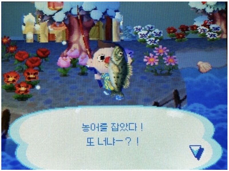 파일:놀동숲 농어.jpeg