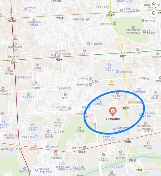 파일:도곡렉슬 지하철역 입지.jpeg