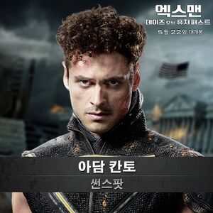 썬스팟.jpg