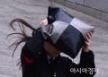 2026년 1월 5일 (월) 19:10 판의 섬네일