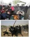 2026년 1월 5일 (월) 19:16 판의 섬네일