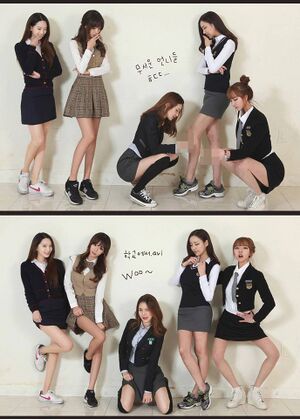 룸나무들.jpg