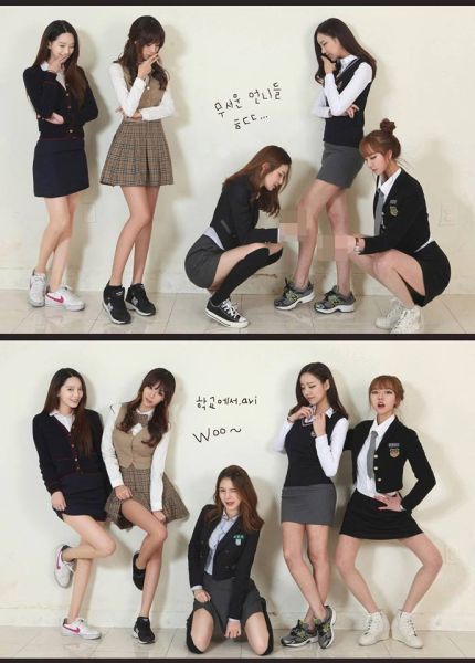 파일:룸나무들.jpg