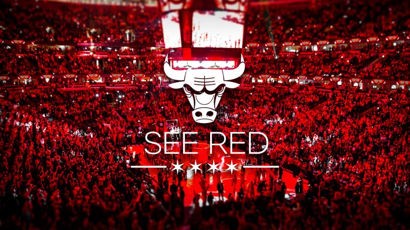 파일:Seereds.jpg
