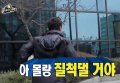 2026년 1월 5일 (월) 19:10 판의 섬네일