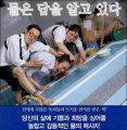 2026년 1월 5일 (월) 19:09 판의 섬네일