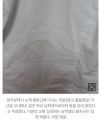 2026년 1월 5일 (월) 19:24 판의 섬네일