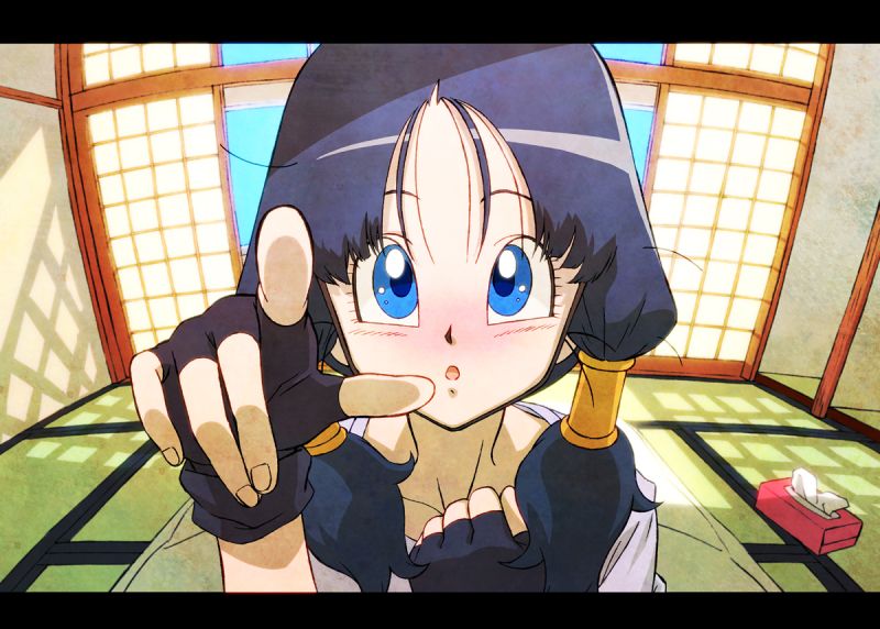 파일:Videl.full.569843.jpg