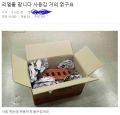 2026년 1월 5일 (월) 19:11 판의 섬네일